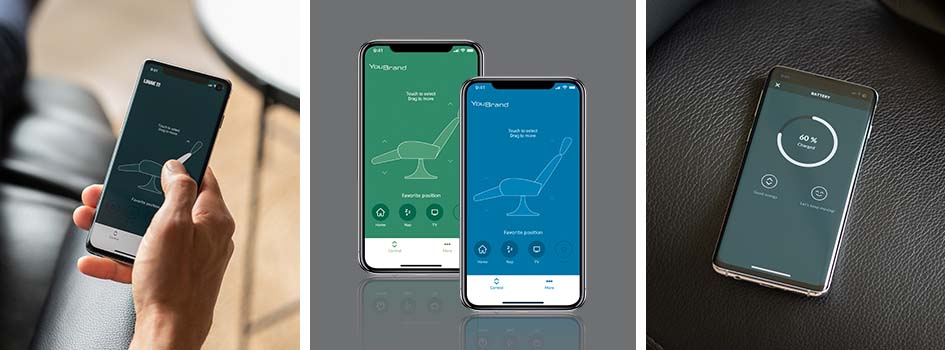 标准 LINAK My Recliner app 和定制版可以同时使用。