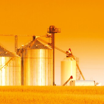 谷物储运