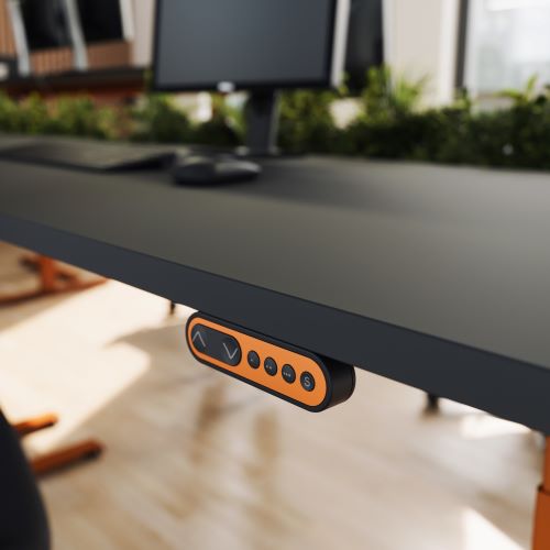 定制的 DPF 控制器具有其自己的正面贴膜设计。