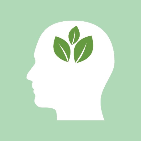 Head with green leaves
